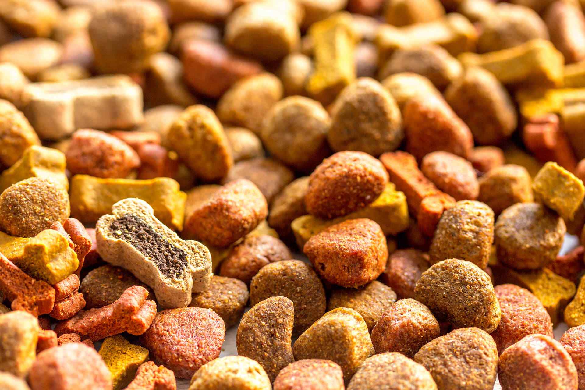 portfolio_02 portfolio_02