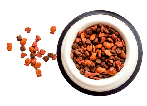 https://petstopveteriner.com/wp-content/uploads/2019/08/floating_food.png
